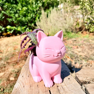 Kitty Planter