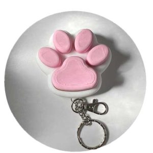Paw Key Chain 2