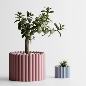 Succulent Planter